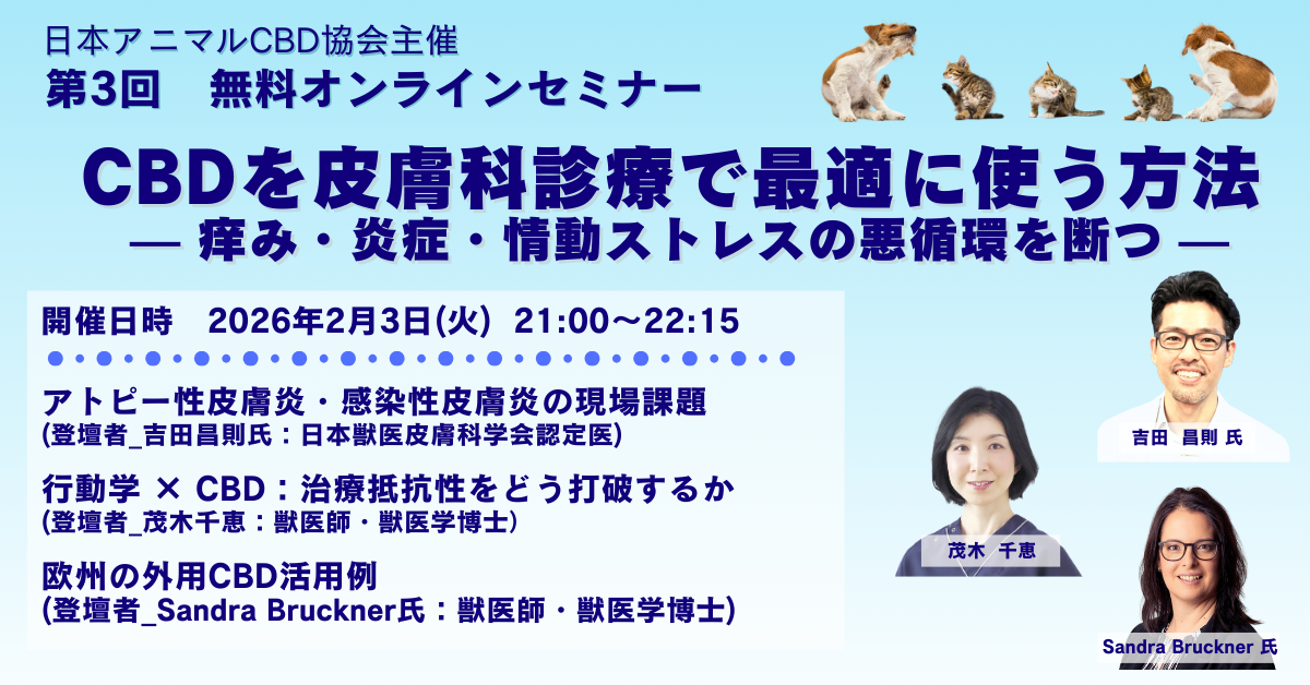 【第3回】治らない痒みに、新たな一手。「皮膚×脳×ストレス」で再定義する犬のアトピー・感染性皮膚炎